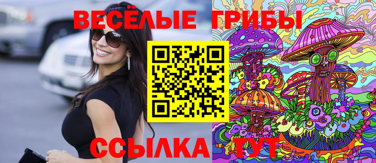 Псилоцибиновые грибы Cubensis  Вход с VPN  Омск  Галлюциногенные грибы Cubensis 